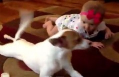 Vídeo de cão tentando ensinar bebê a engatinhar faz sucesso na internet