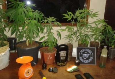 Foto em celular leva polícia à dupla que cultivava maconha em armário