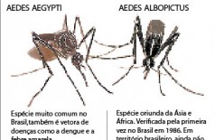 Doença similar a dengue deixa autoridades de MS em alerta