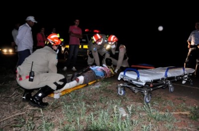 Motociclista fica ferido após atropelar tamanduá na MS-473