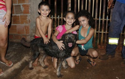 Depois de quatro dias desaparecido, cão escapa de poço por escada