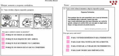 Escolas podem enviar dados da Provinha Brasil até 30 de setembro
