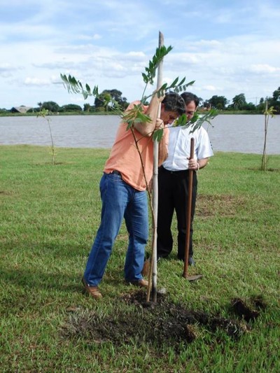 Prefeito Murilo Zauith volta a ser cobrado sobre Plano Diretor de Arborização, dessa vez por um aliado (Reprodução/Facebook)