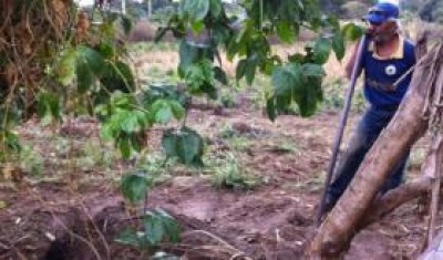 O autor confessou o crime e não resistiu à prisão (Reprodução)