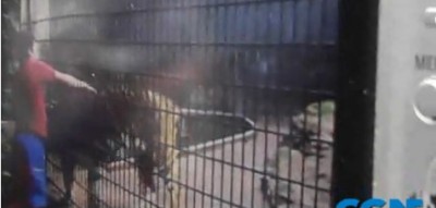Criança atacada no zoológico tem braço amputado