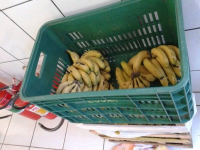 Ladrões invadem escola municipal, furtam produtos e comem banana da merenda em MS