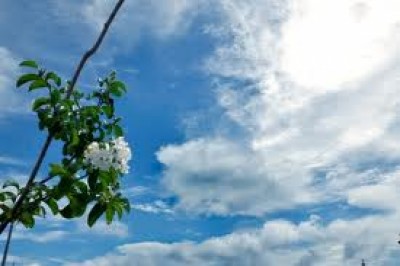 Meteorologia prevê chuva no sul e sudoeste de MS no final do dia