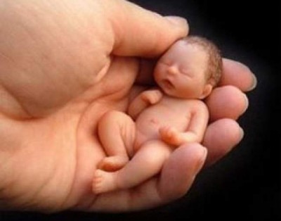 Entidades organizam ação contra legalização do aborto