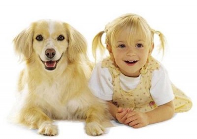 Estudo confirma que os cachorros ficam parecidos com seus tutores