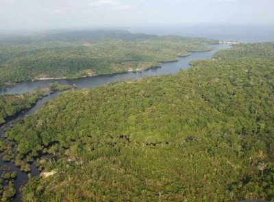 Avaliação do Inpe mostra que essa é a segunda menor taxa de desmatamento na Amazônia Legal desde que o instit... (EFE)