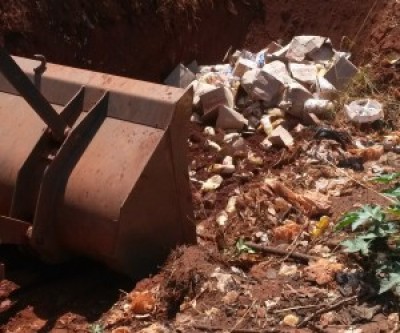 Durante operação, polícia localiza gado furtado em Goiás