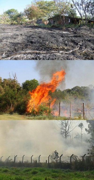 Brincadeira de criança quase vira pesadelo com fogo próximo a residências em MS