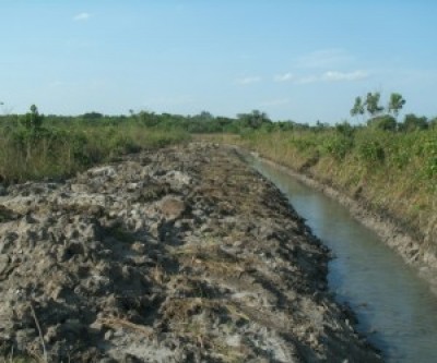Fazendeiro é multado em R$ 100 mil por crime ambiental