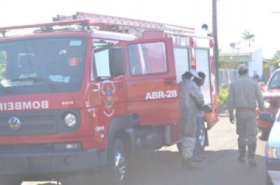 Abelhas invadem casas, atacam moradores e criam pânico em bairro