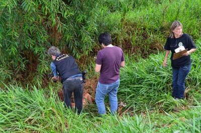 Corpo de mulher nua é encontrado em ribanceira na BR 163