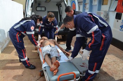 Interno da Phac apanhou, escala cerca, se enrosca em serpentina e cai de uma altura de seis metros