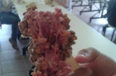 Uma foto tirada durante o almoço desta quarta-feira (12) mostra o que era para ser um bolinho de carne frita,... (Nova News)