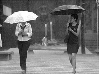 Volume de chuva em cidades do MS supera meta esperada para novembro