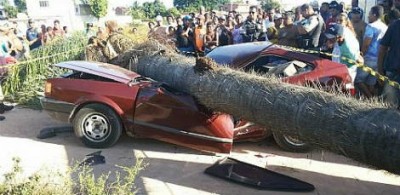 Árvore cai em cima de carro e mata turista gaúcho