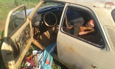 Ao tocar gado, sitiante encontra homem degolado em Dourados