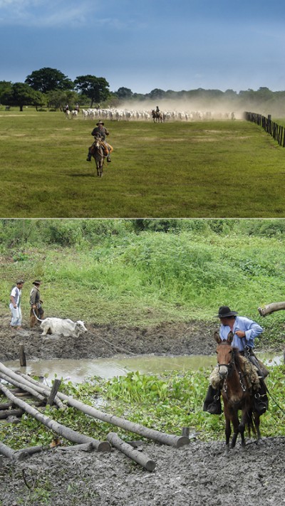 Experiência de jornalista em comitiva pantaneira vira livro que será lançado na Capital