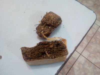 Adolescentes são pegos com 220g de maconha em Dourados