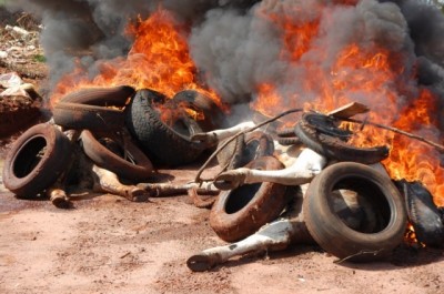Moradores transformam estrada em lixão e jogam até animais mortos