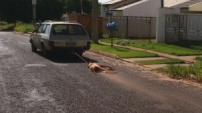 Cachorro sendo arrastado por avenida revolta moradores