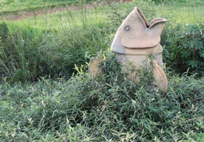 Marçal lamenta abandono do Parque Antenor Martins