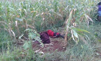 Corpo foi encontrado em meio a uma plantação de milho (Sidnei Bronka)