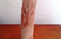 Pedaço de madeira ficou com manchas de sangue (Ivinotícias)