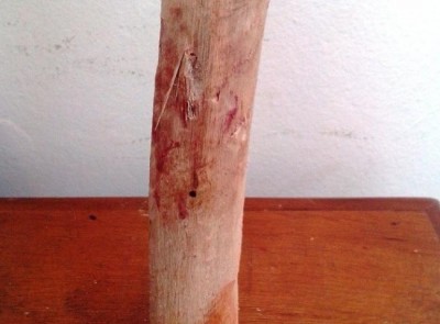 Pedaço de madeira ficou com manchas de sangue (Ivinotícias)