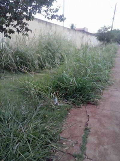 Pista de caminhada Jorjão (Lenir Matheus)