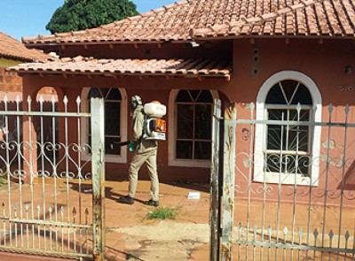 Secretaria registra mais de 400 casos de dengue em uma semana em MS