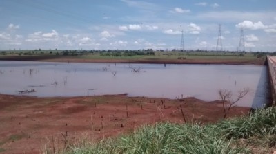 Estiagem do rio Paraná compromete produção de peixes e gado de MS