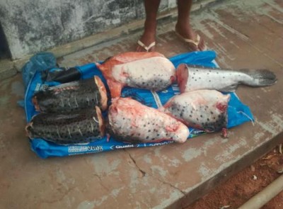 Servidor público é preso por tentar vender pescado ilegal para militares