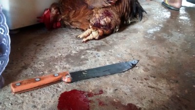 Em MS, polícia é acionada para conter bêbado que fazia confusão para comer carne de galo crua