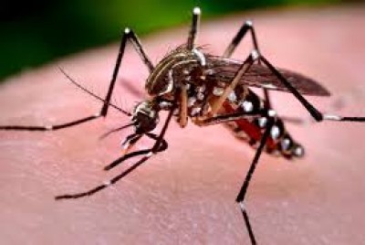 Saúde confirma segunda morte por dengue no ano em MS