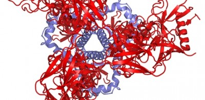 Imagens moleculares divulgadas recentemente mostram o traço característico que ajuda o HIV a infectar as célul... (NIAID/Reuters)