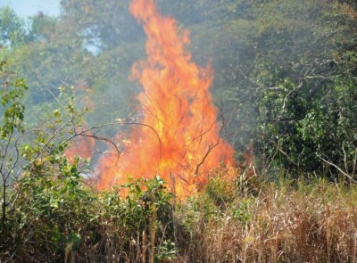 Mesmo com redução, MS ainda é o 4º estado em número de focos de queimadas