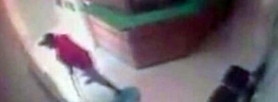 Câmeras flagraram execução em escola de informática na Capital (assista)