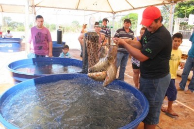 A 11ª Festa do Peixe vai colocar à venda o peixe fresco (A. Frota)