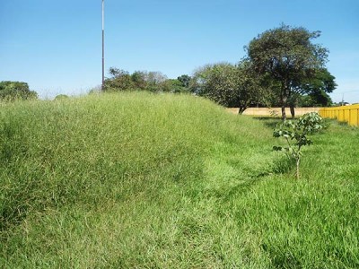 Concha acústica da Praça do Cinquentenário está sumindo em meio ao matagal