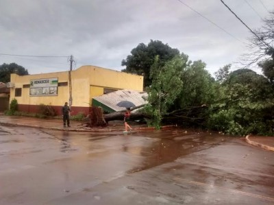 Toldo sob o qual as pessoas se abrigavam da chuva foi destruído pela árvore (94 FM)