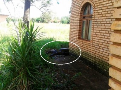 Corpo é encontrado ao lado de igreja em cidade do interior