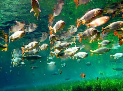 Defensoria banca 'congresso' em resort de luxo e emenda feriadão em Bonito