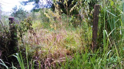 Além de abandono, moradores da Vila Erondina reclamam da insegurança causada pela escuridão