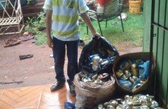 Em Dourados, garoto de oito anos economiza e junta latinhas para conseguir comprar uma bicicleta