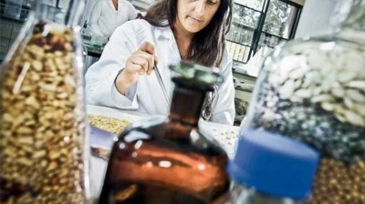 Embrapa quer parceria para produzir bebida de cereais com bactéria pró-biótica