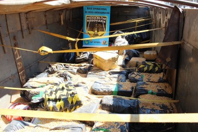 PMR apreende 12 toneladas de maconha em Anaurilândia